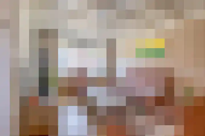 Piet Heinstraat 24 Schijndel foto 2