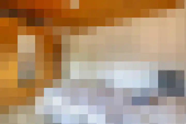 Piet Heinstraat 24 Schijndel thumbnail 20