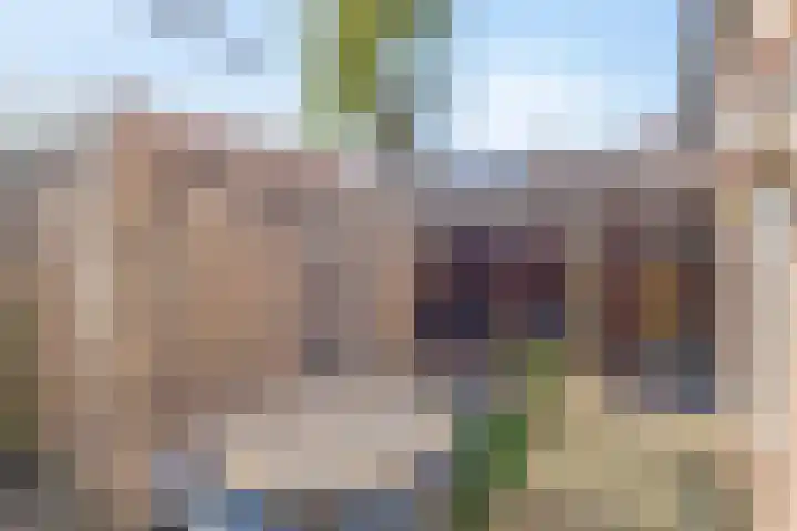 Piet Heinstraat 24 Schijndel thumbnail 23