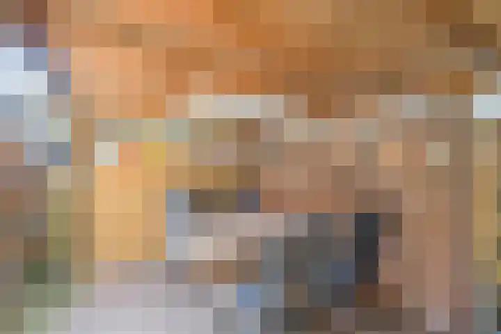 Piet Heinstraat 24 Schijndel thumbnail 25