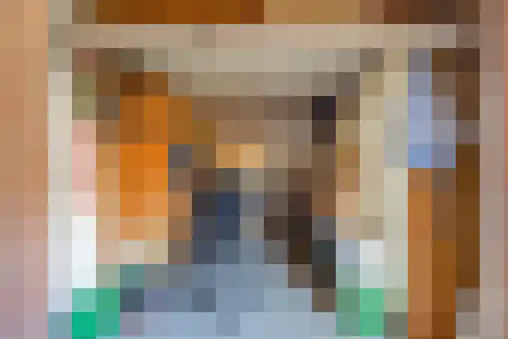 Piet Heinstraat 24 Schijndel thumbnail 27