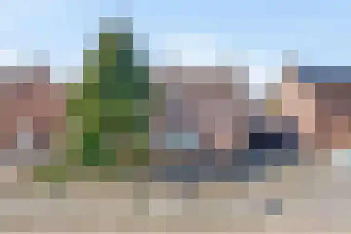 Piet Heinstraat 24 Schijndel thumbnail 28