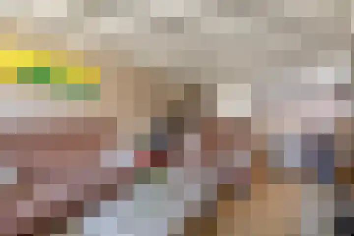 Piet Heinstraat 24 Schijndel foto 3