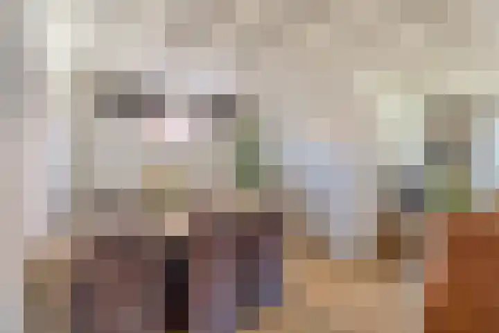 Piet Heinstraat 24 Schijndel thumbnail 4