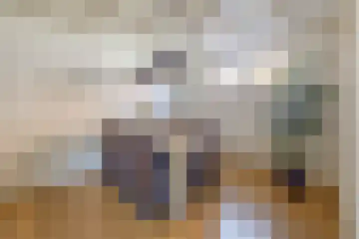 Piet Heinstraat 24 Schijndel thumbnail 5
