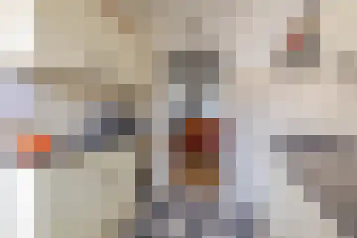 Piet Heinstraat 24 Schijndel thumbnail 6