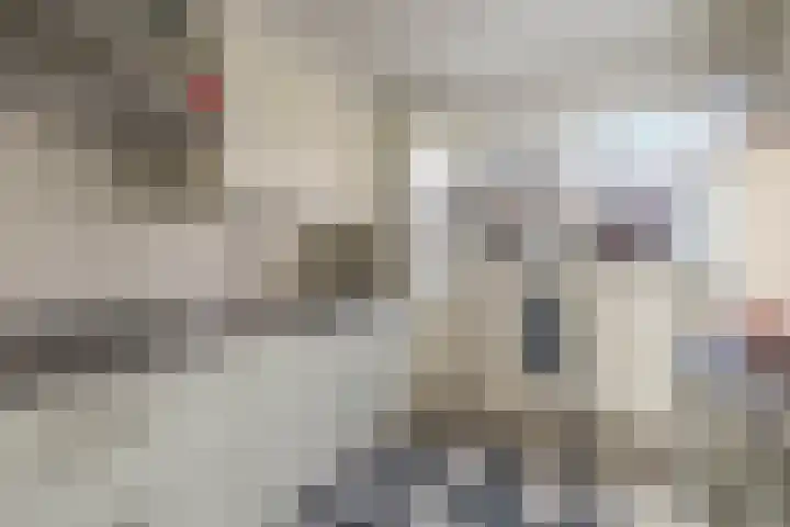 Piet Heinstraat 24 Schijndel thumbnail 7