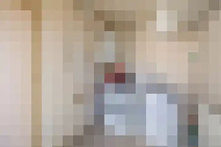 Piet Heinstraat 24 Schijndel thumbnail 8
