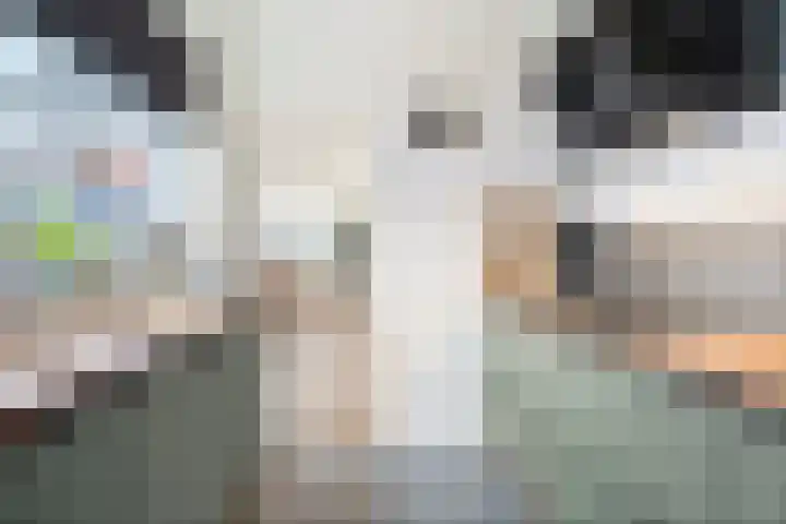 Piet Heinstraat 25 Den Helder thumbnail 15