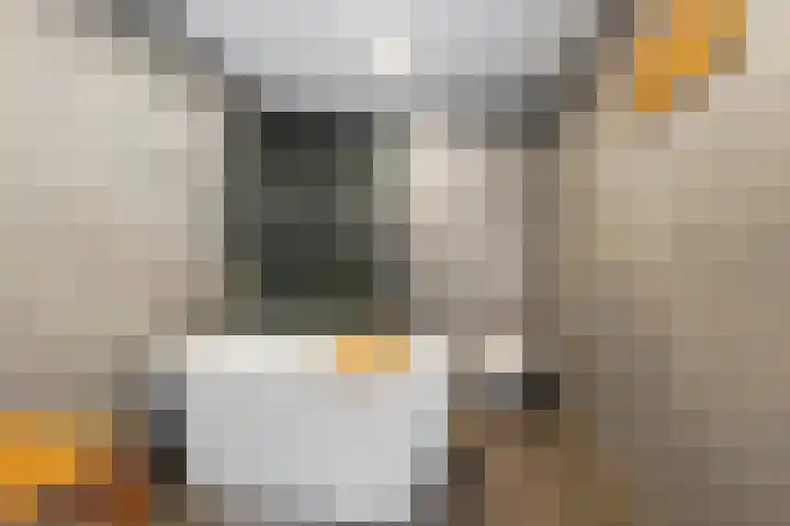 Piet Heinstraat 25 Den Helder thumbnail 16