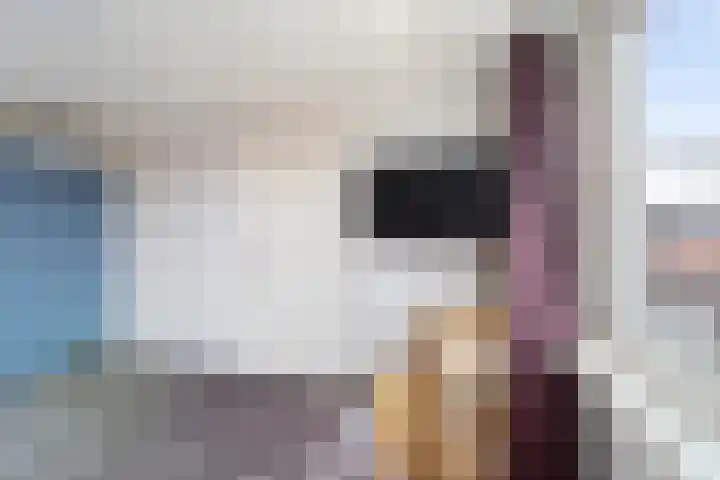 Piet Heinstraat 25 Den Helder thumbnail 28