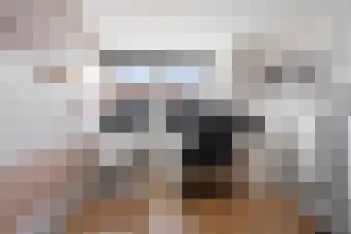 Piet Heinstraat 25 Den Helder thumbnail 29