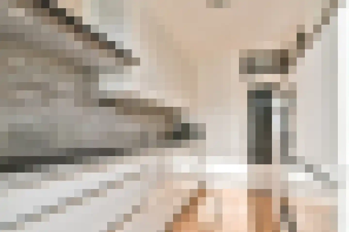 Piet Heinstraat 25 Hendrik-Ido-Ambacht thumbnail 10