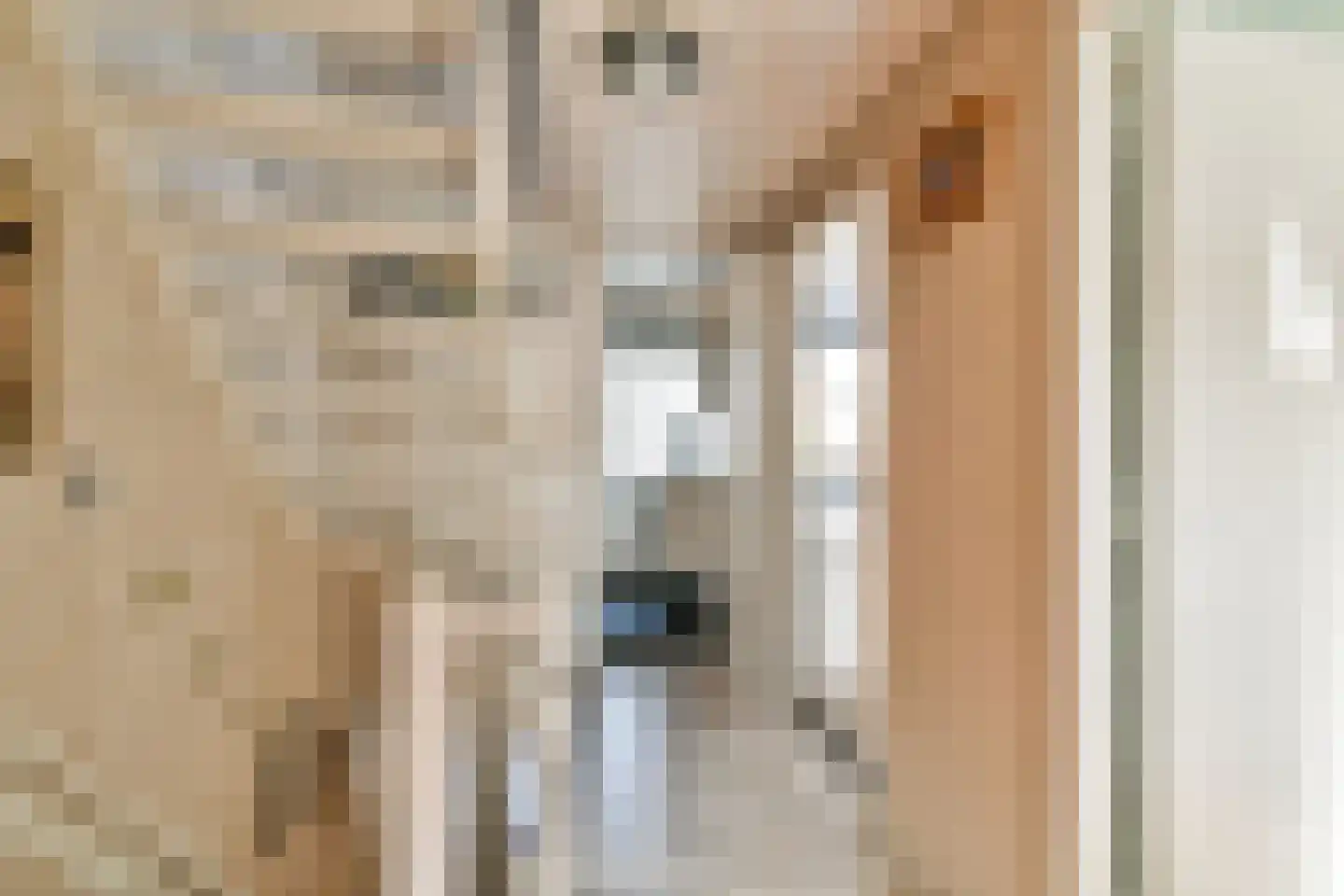 Piet Heinstraat 25 Hendrik-Ido-Ambacht thumbnail 15