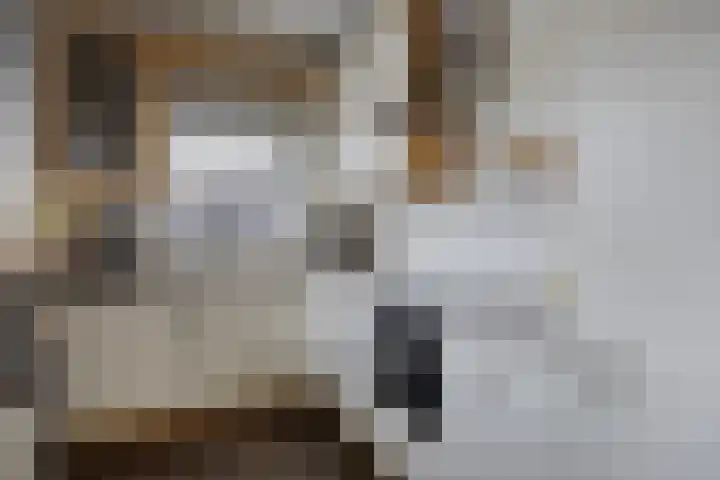 Piet Heinstraat 25 Maarssen thumbnail 12