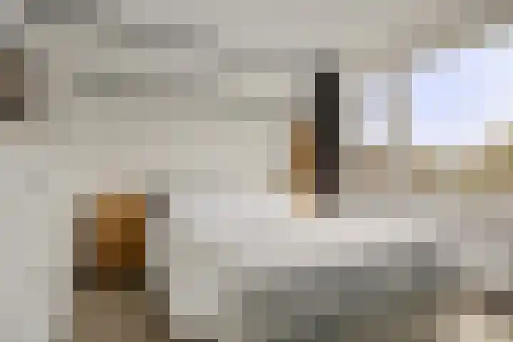 Piet Heinstraat 25 Maarssen thumbnail 15