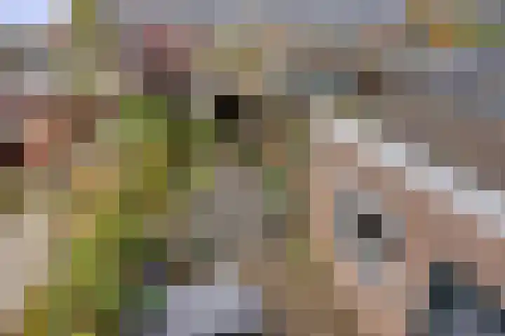 Piet Heinstraat 25 Maarssen thumbnail 17