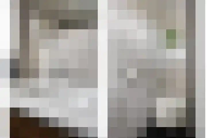 Piet Heinstraat 25 Maarssen thumbnail 20