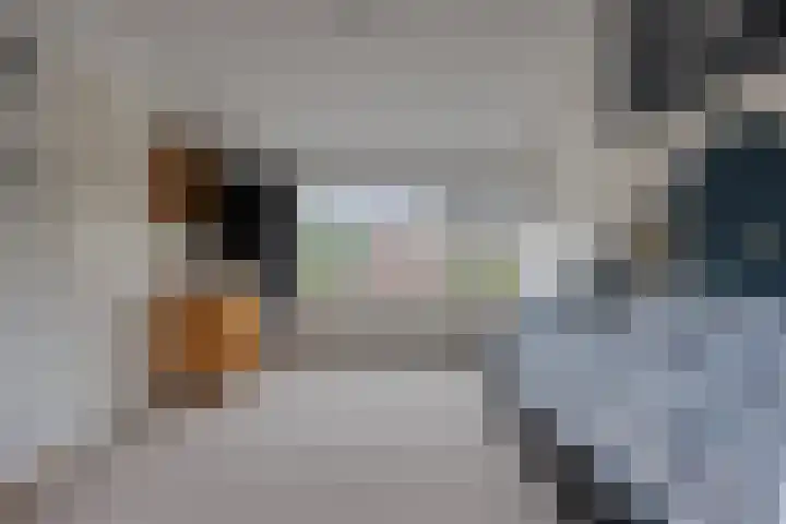 Piet Heinstraat 25 Maarssen thumbnail 29