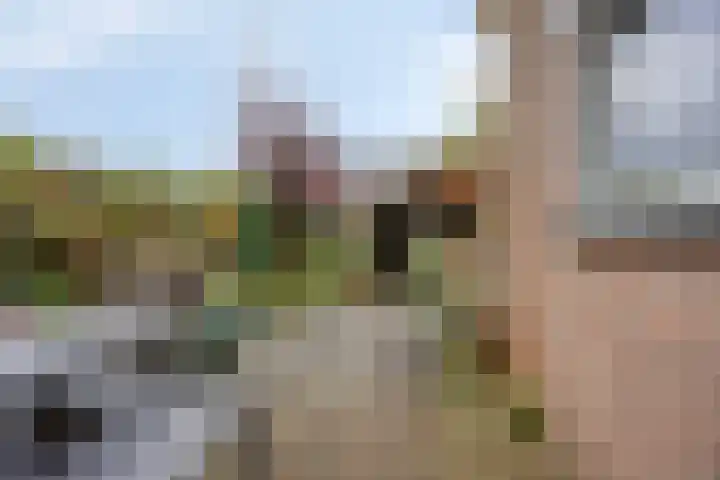 Piet Heinstraat 25 Maarssen thumbnail 30