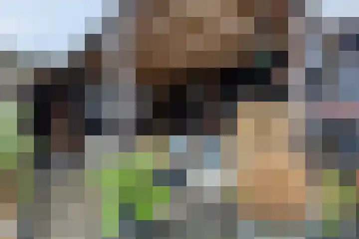 Piet Heinstraat 25 Maarssen thumbnail 33