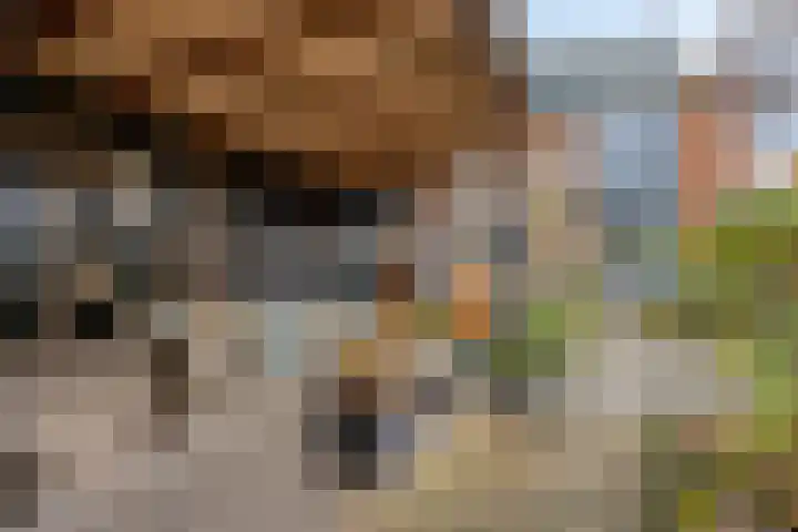 Piet Heinstraat 25 Maarssen thumbnail 34