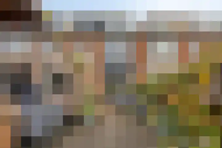 Piet Heinstraat 25 Maarssen thumbnail 35