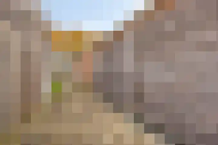 Piet Heinstraat 25 Maarssen thumbnail 36