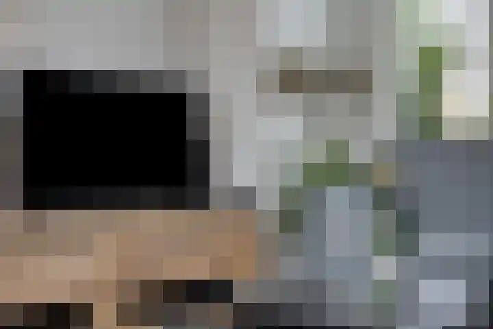 Piet Heinstraat 25 Maarssen thumbnail 41