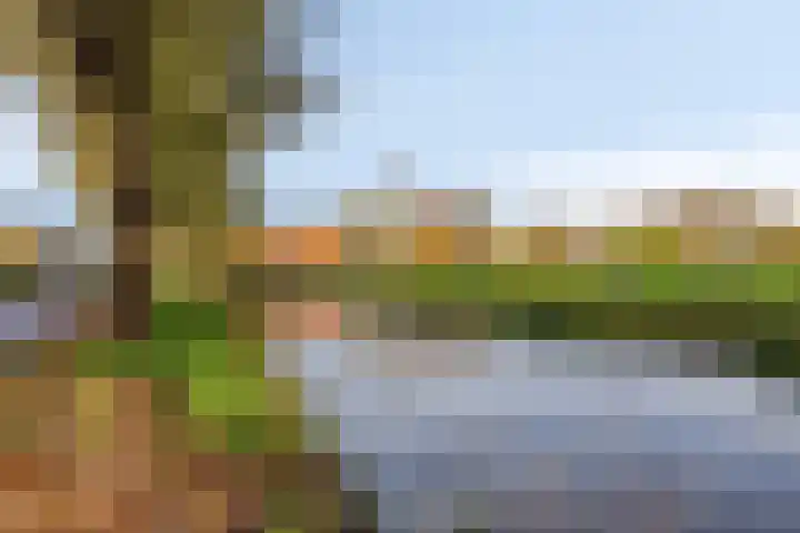 Piet Heinstraat 25 Maarssen thumbnail 43