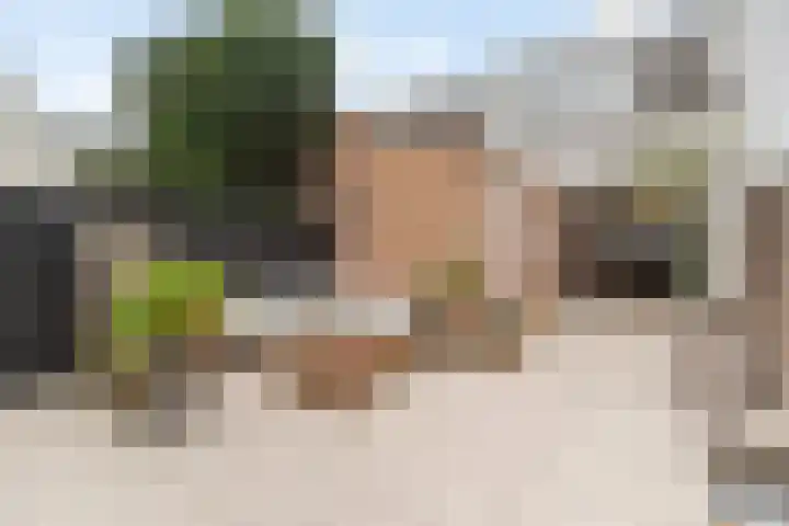 Piet Heinstraat 25 Noordwijk thumbnail 11