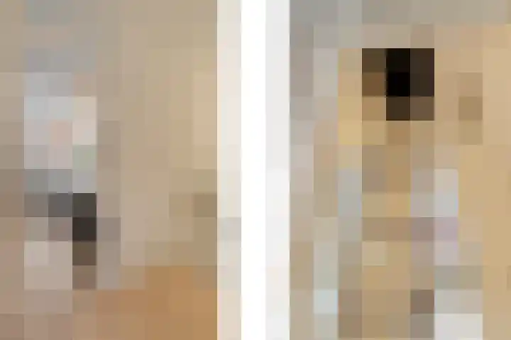 Piet Heinstraat 25 Noordwijk thumbnail 27