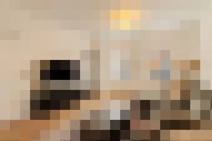 Piet Heinstraat 25 Noordwijk thumbnail 7