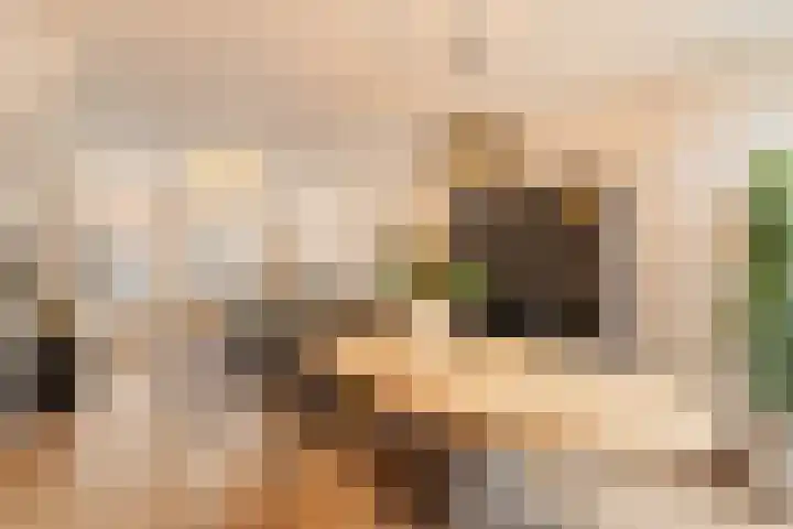 Piet Heinstraat 25 Noordwijk thumbnail 8