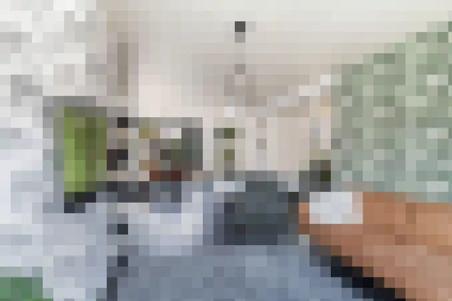 Piet Heinstraat 25 Schijndel thumbnail 12