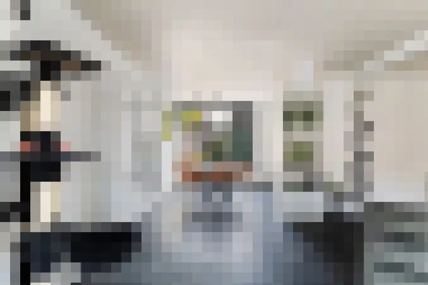 Piet Heinstraat 25 Schijndel thumbnail 15