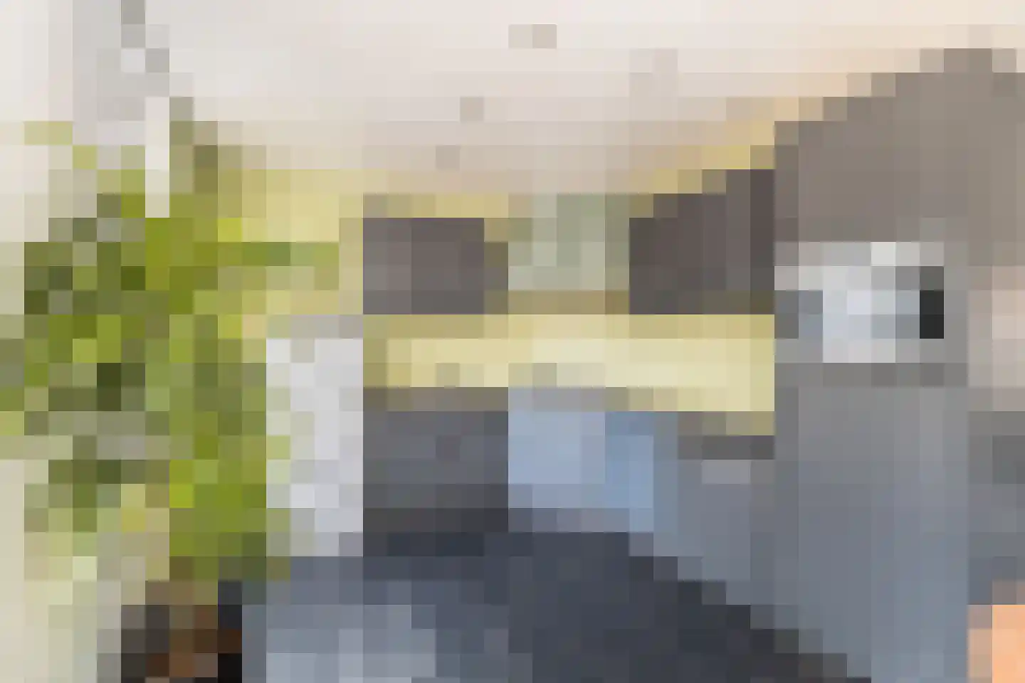 Piet Heinstraat 25 Schijndel thumbnail 18