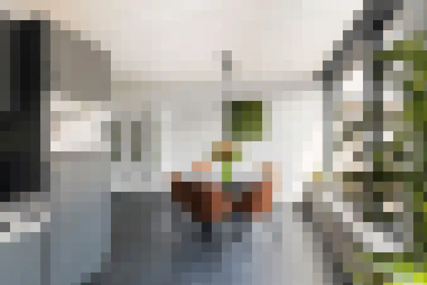 Piet Heinstraat 25 Schijndel thumbnail 20