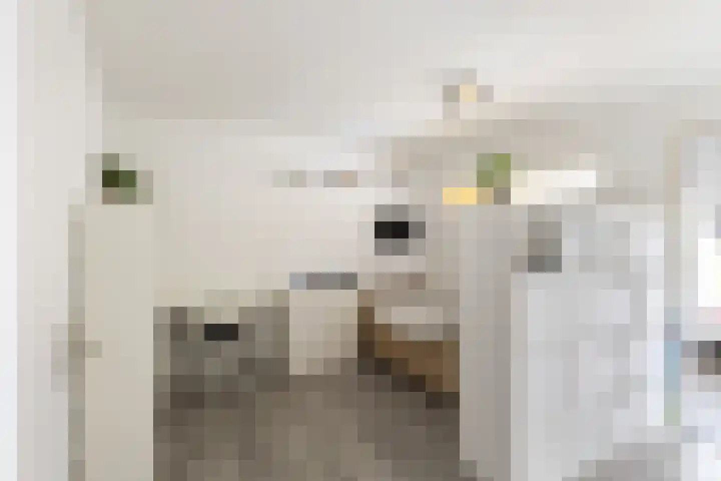 Piet Heinstraat 25 Schijndel thumbnail 26