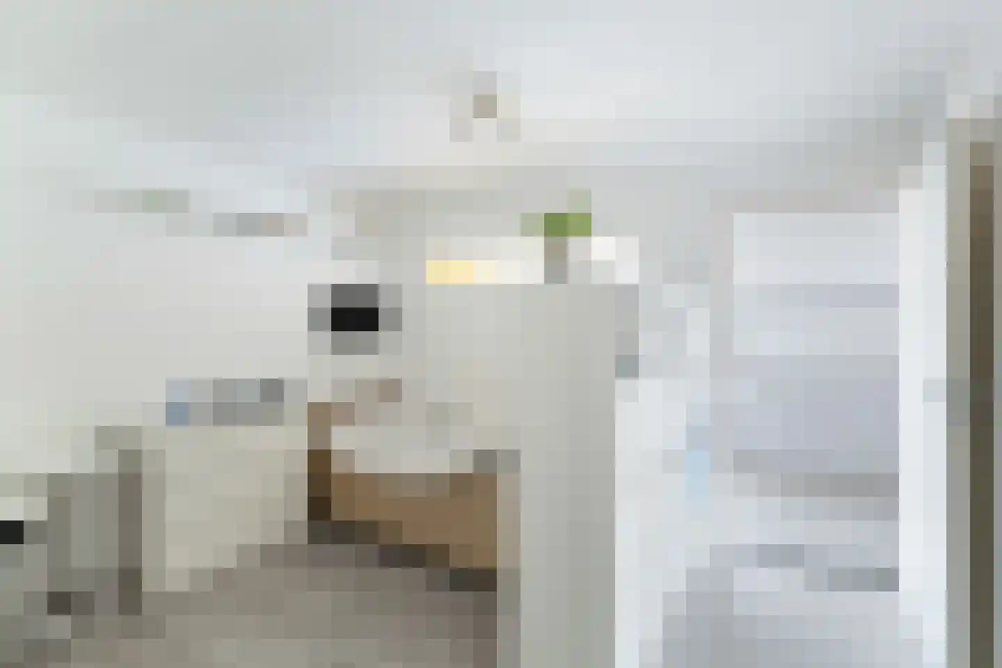 Piet Heinstraat 25 Schijndel thumbnail 29