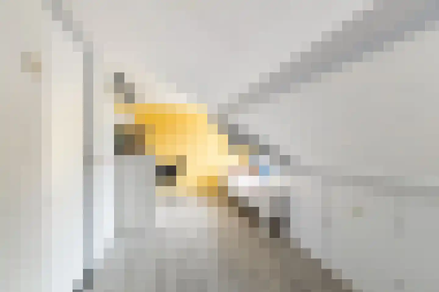 Piet Heinstraat 25 Schijndel thumbnail 30