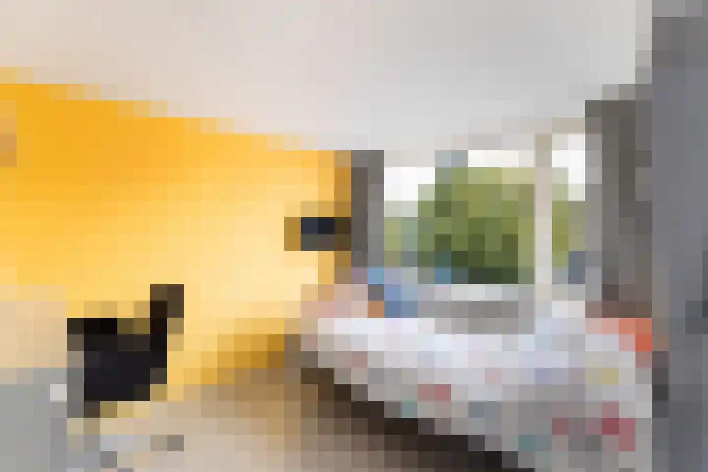 Piet Heinstraat 25 Schijndel thumbnail 31