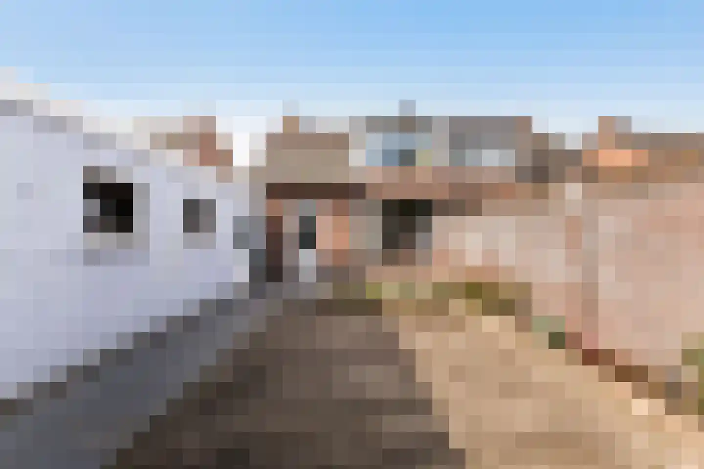 Piet Heinstraat 25 Schijndel thumbnail 37