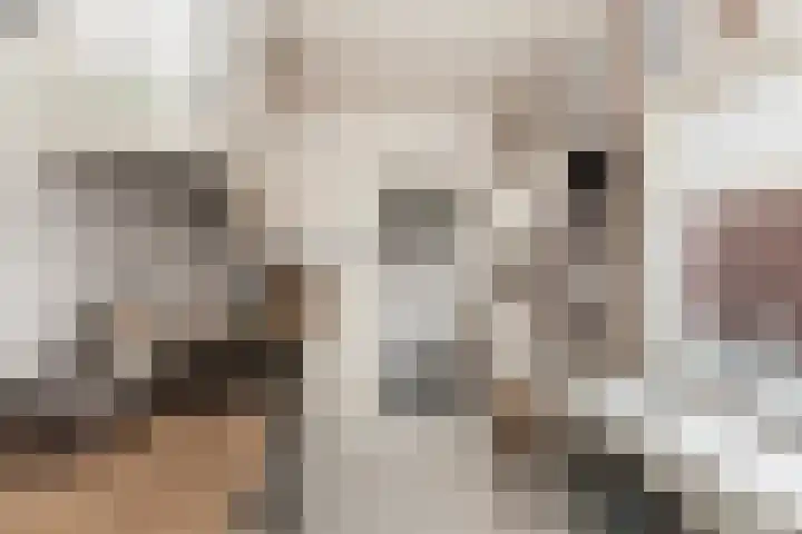 Piet Heinstraat 27 Sliedrecht thumbnail 12