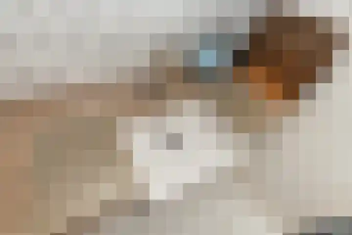 Piet Heinstraat 27 Sliedrecht thumbnail 13