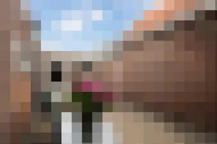 Piet Heinstraat 27 Sliedrecht thumbnail 16