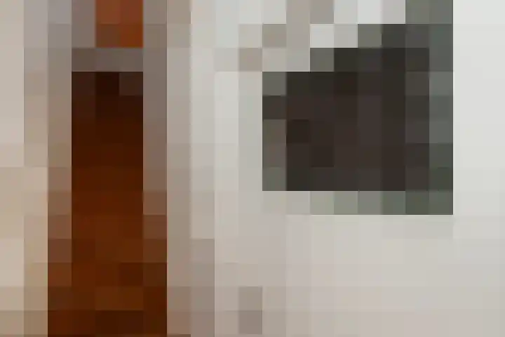 Piet Heinstraat 27 Sliedrecht thumbnail 18