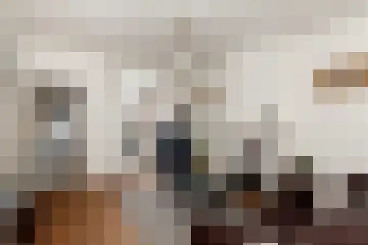 Piet Heinstraat 27 Sliedrecht foto 2