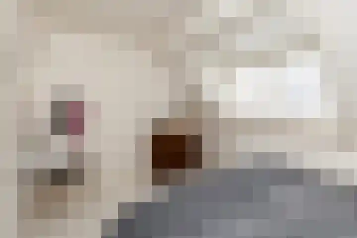 Piet Heinstraat 27 Sliedrecht thumbnail 20