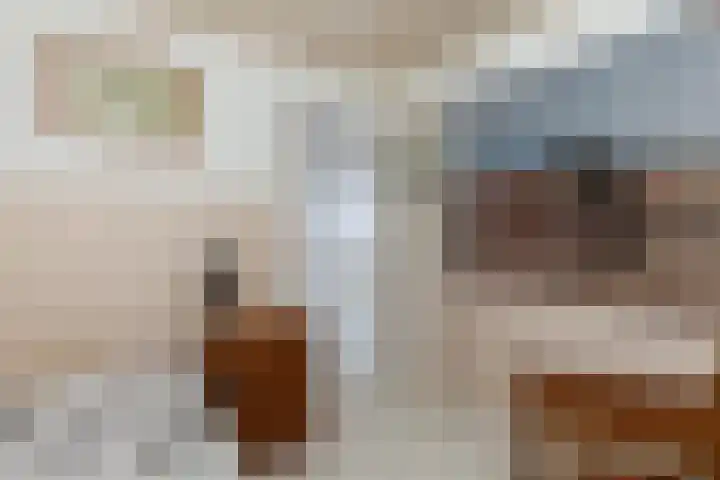Piet Heinstraat 27 Sliedrecht thumbnail 21